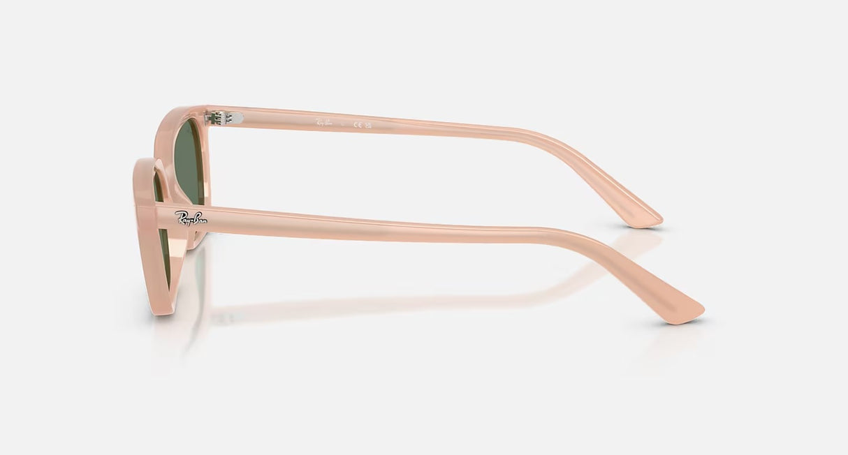 Ray Ban Zaya Sunglasses