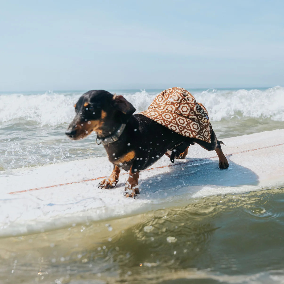 Plow Bloomin Groover Surf Hat