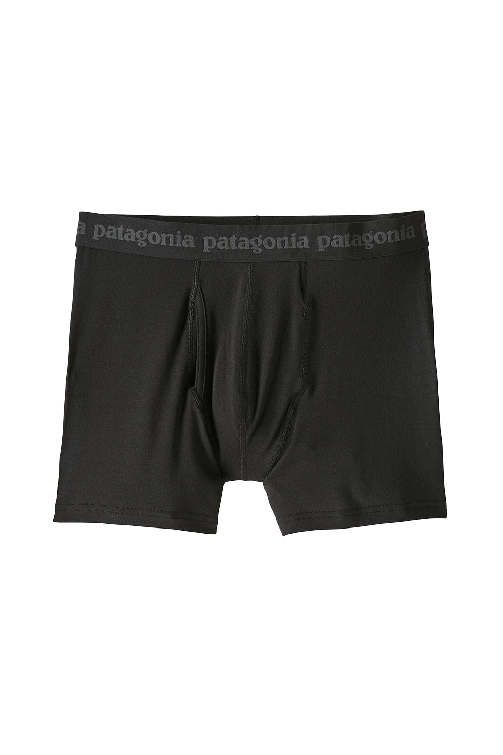 Patagonia Men's Essential Boxer Briefs 3"