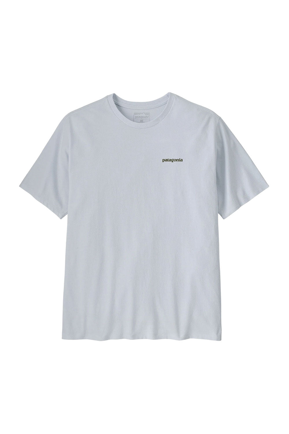 Patagonia Men's Take a Stand Responsibili-Tee