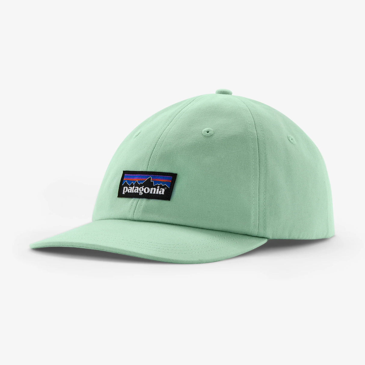 Patagonia P-6 Label Trad Cap