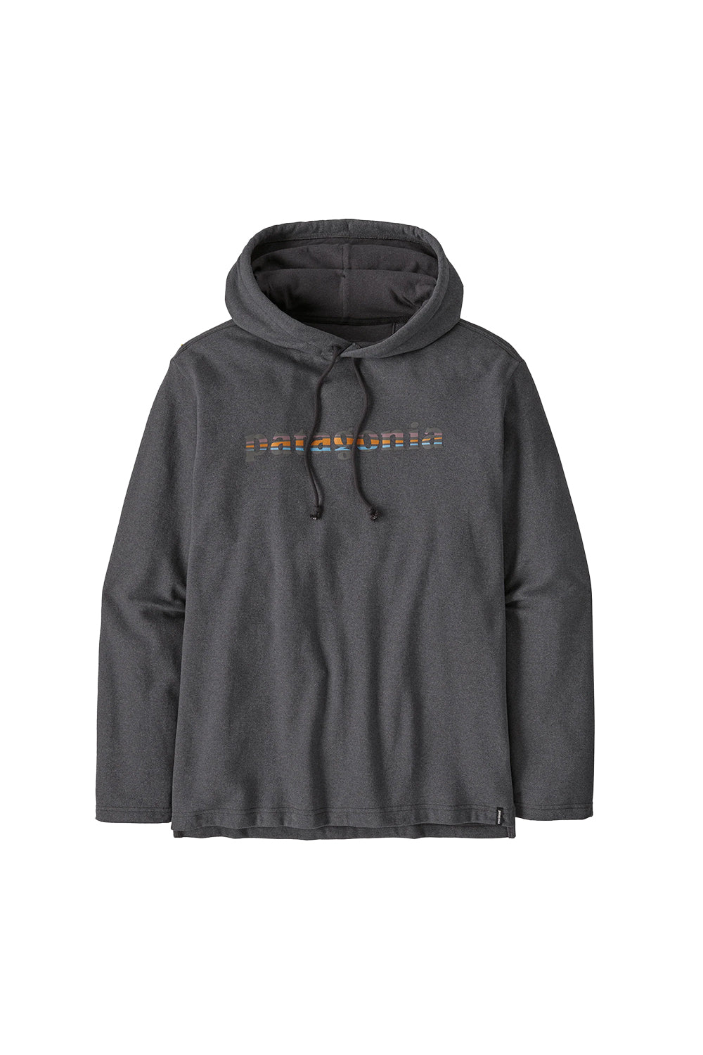 Patagonia Men's Lightweight '73 Text Logo Wildrise Hoody