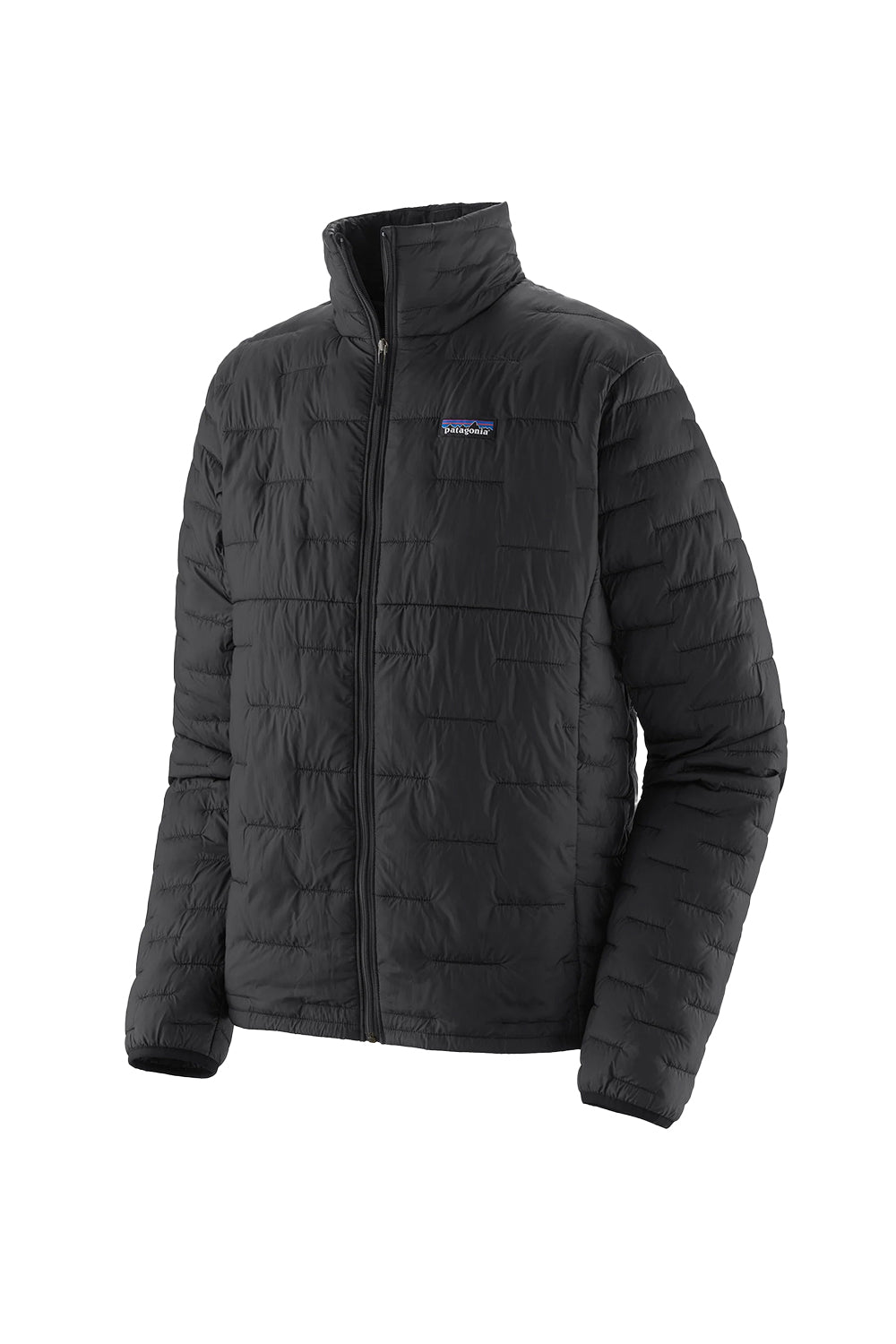 Patagonia Mens Micro Puff Jacket