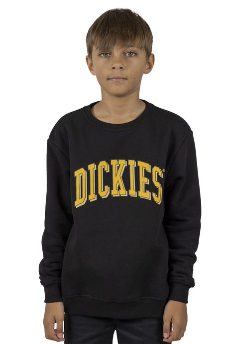 Dickies Boys Longview Crew Neck Sweater | Sanbah Australia