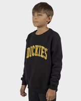 Dickies Boys Longview Crew Neck Sweater