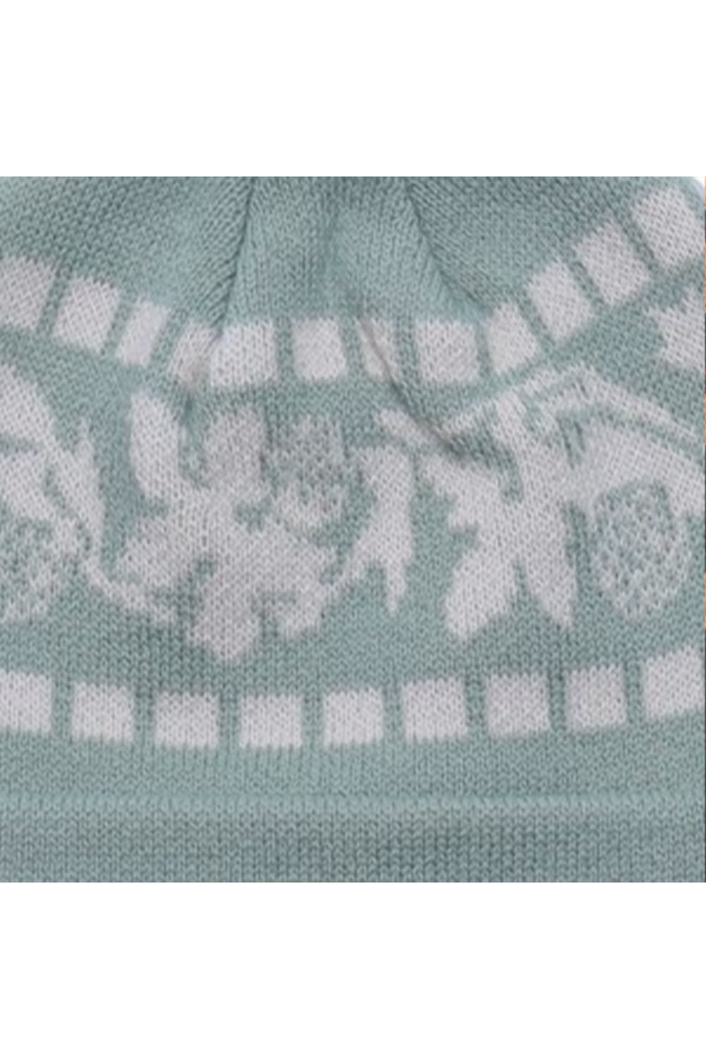 Passport Vine Beanie - Mint | Sanbah Australia