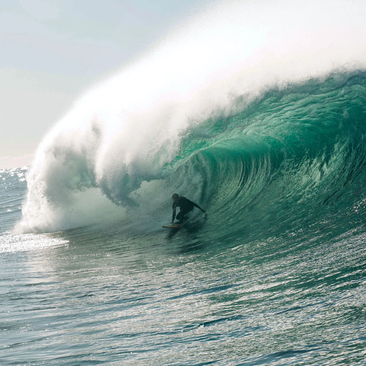 7ft Ocean Earth Reef Quick Release One-XT Leash