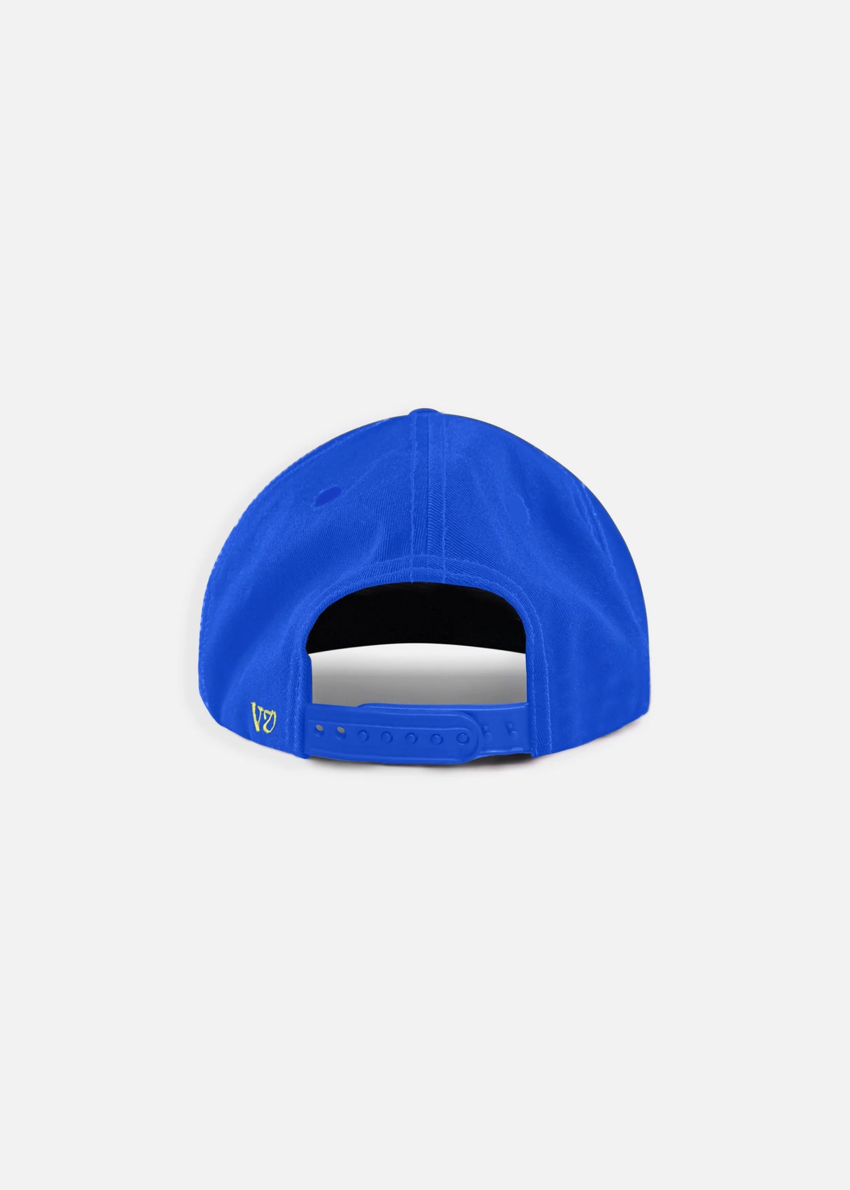Rivvia Projects cap