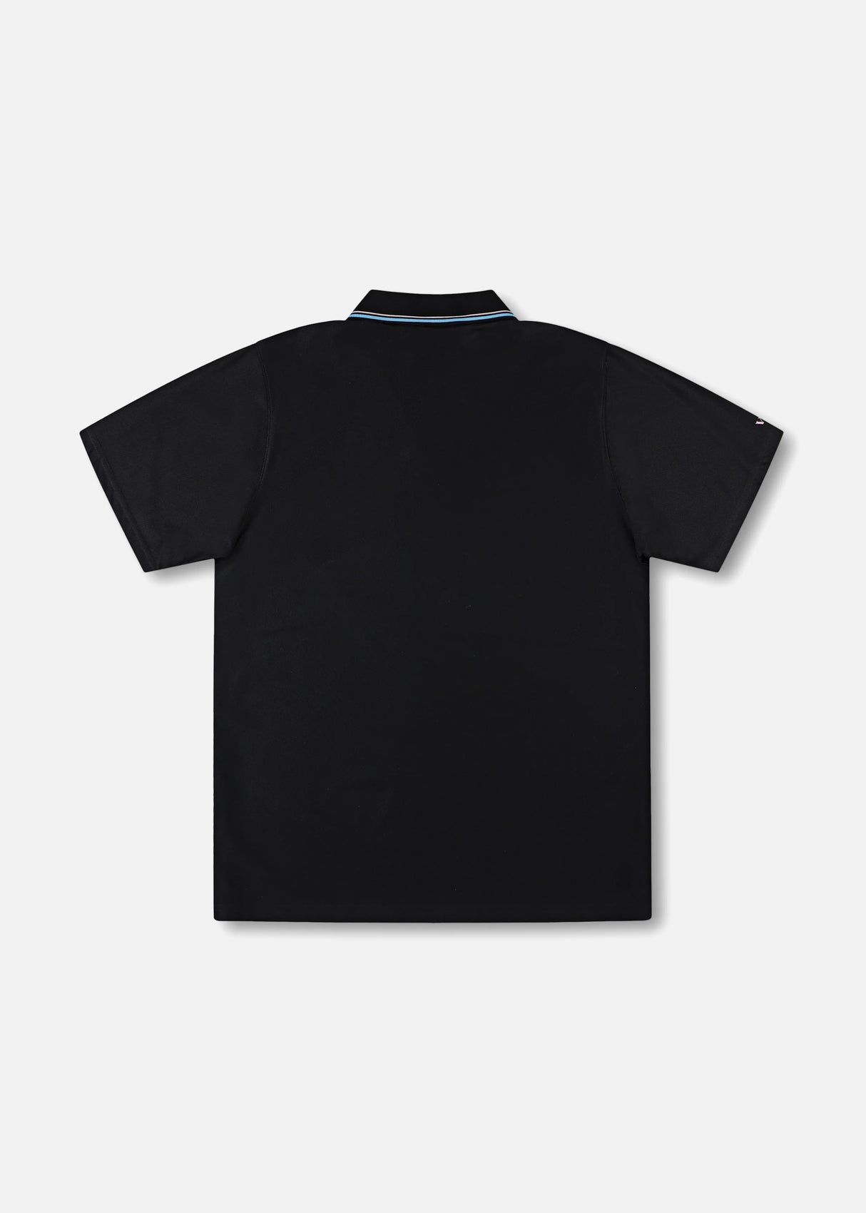 Rivvia World Series Polo