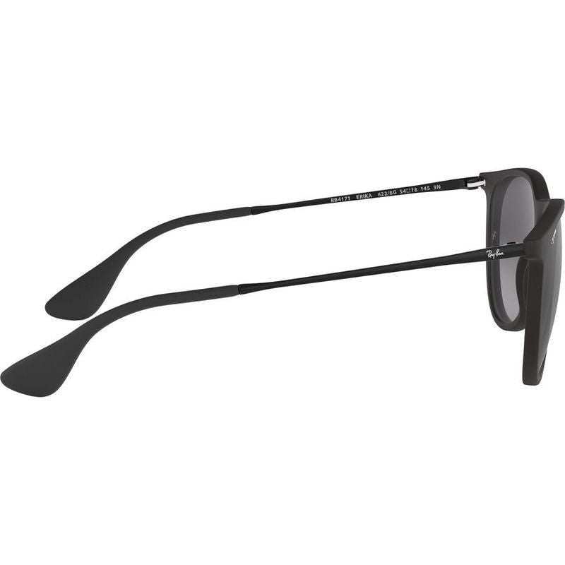 Ray Ban Erika Classic Sunglasses