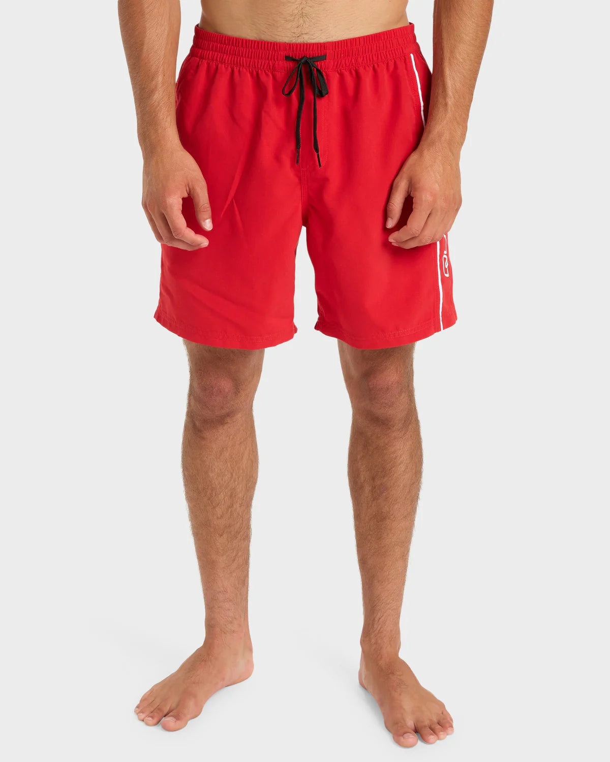 Quiksilver Mens Everyday Volley 17" Swim Shorts
