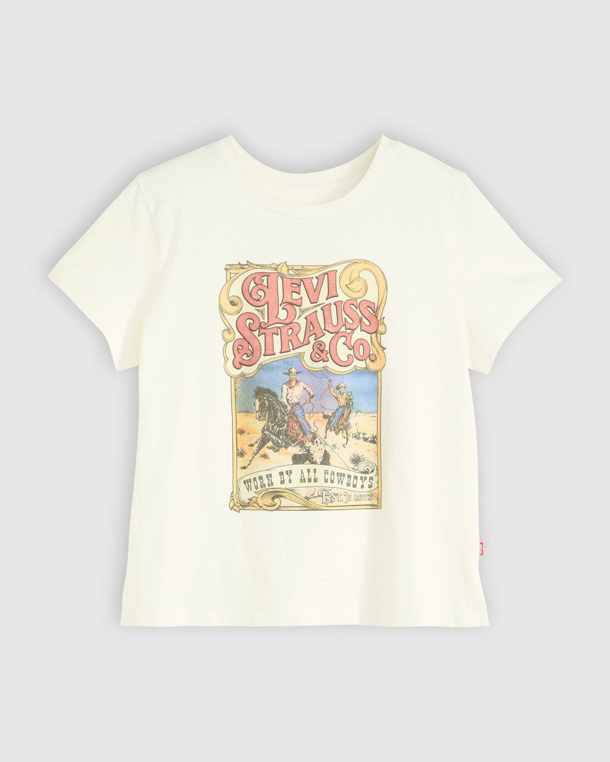 Levi's Graphic Boxy Tee