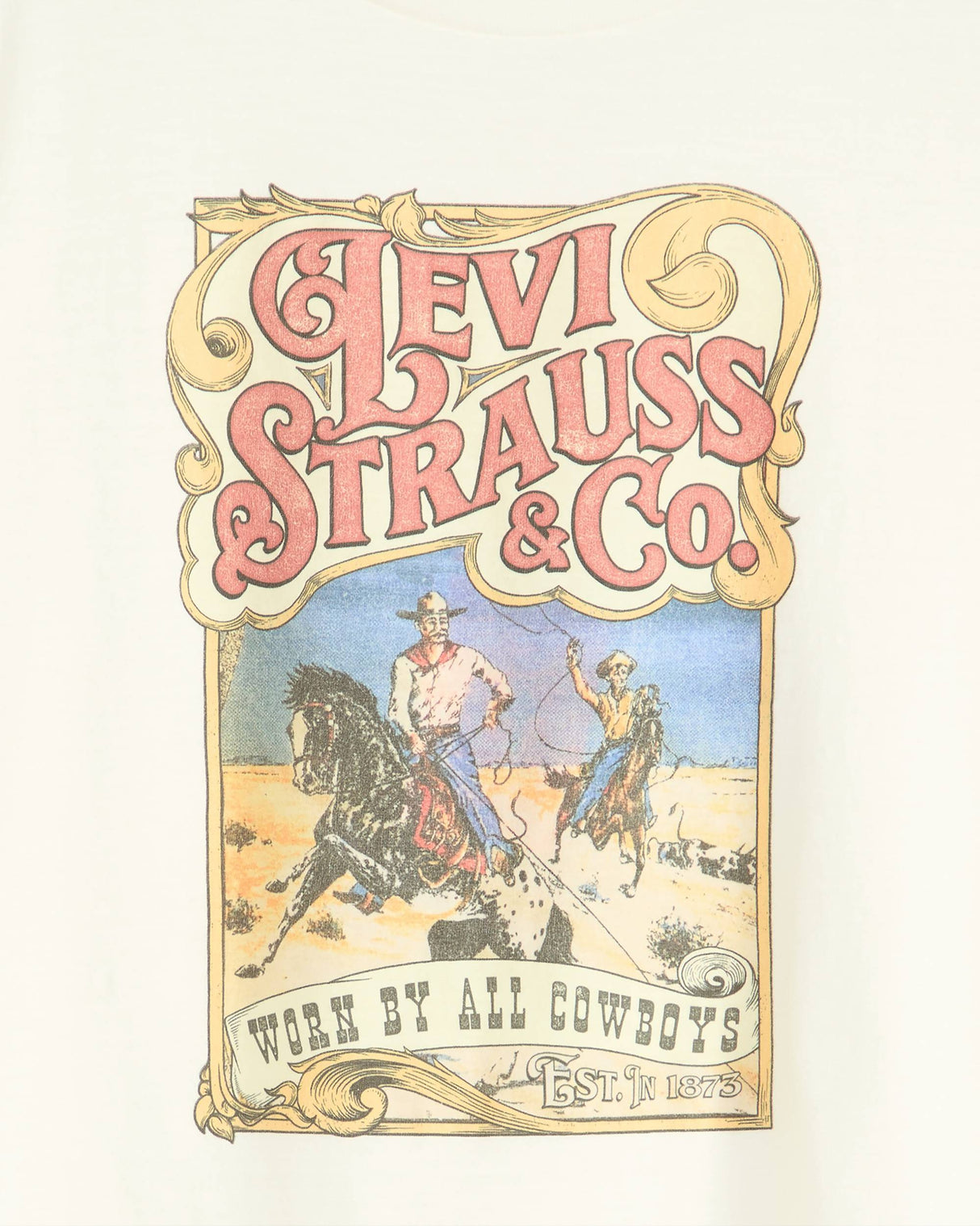 Levi's Graphic Boxy Tee