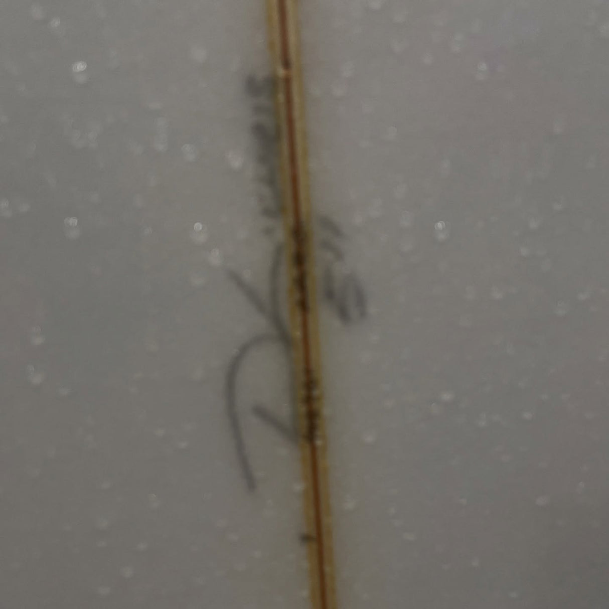 5'11 Misfit #7944 - Used Surfboard