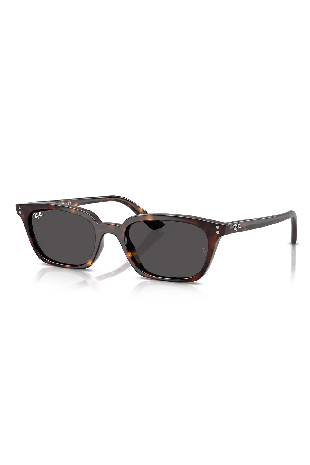 Ray Ban Zaya Sunglasses