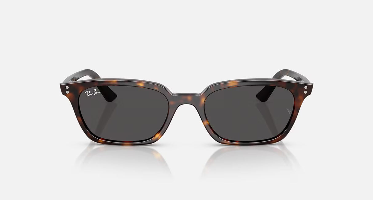 Ray Ban Zaya Sunglasses