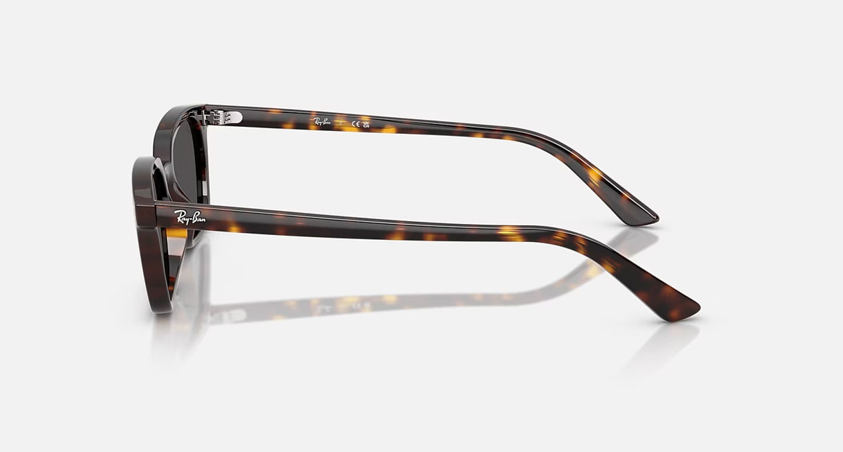 Ray Ban Zaya Sunglasses