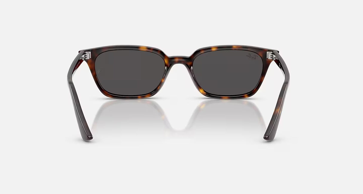 Ray Ban Zaya Sunglasses
