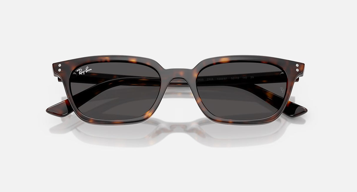 Ray Ban Zaya Sunglasses