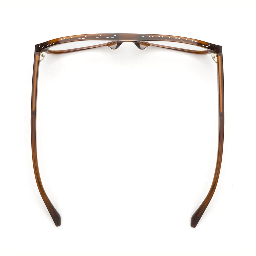 Caddis Root Cause Analysis Optical Reading Glasses