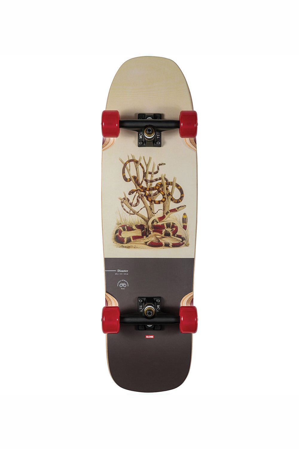Shop Globe Skateboards | Globe Disaster Cruiser Skateboard