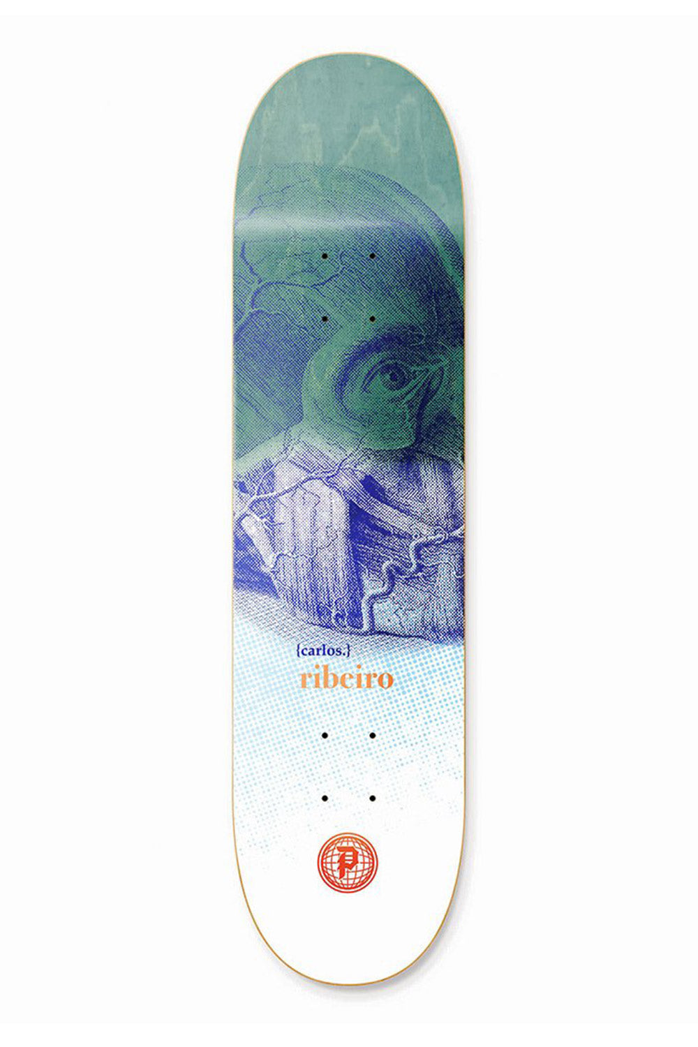 Primitive Carlos Riberio Evolve Skateboard Deck - 8.38"