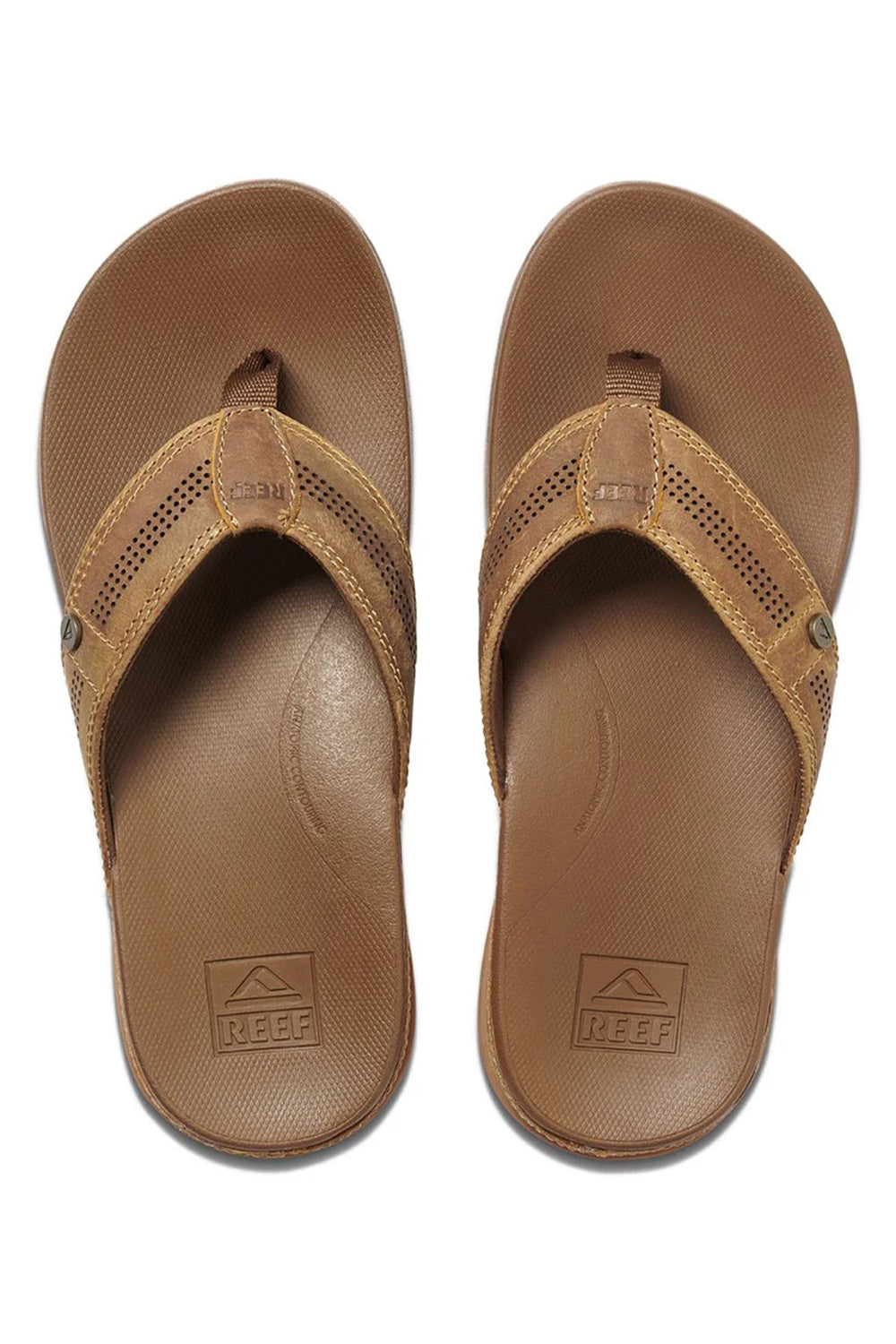 Reef Mens Cushion Lux Thongs | Sanbah Australia