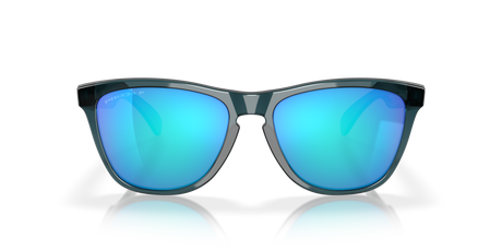 Oakley Frogskin Polarized Sunglasses - Crystal Black