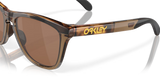 Oakley Frogskins Sunglasses