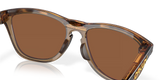 Oakley Frogskins Sunglasses
