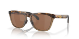 Oakley Frogskins Sunglasses