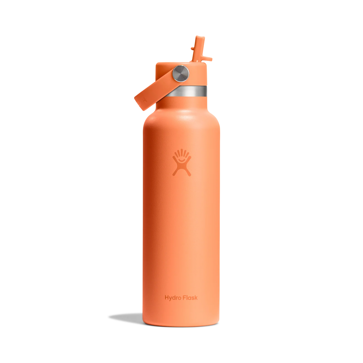 Hydro Flask 21oz (621ml) Standard Mouth Bottle with Flex Straw Cap