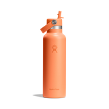 Hydro Flask 21oz (621ml) Standard Mouth Bottle with Flex Straw Cap