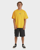 Billabong Mens Spec Dotcom T-Shirt