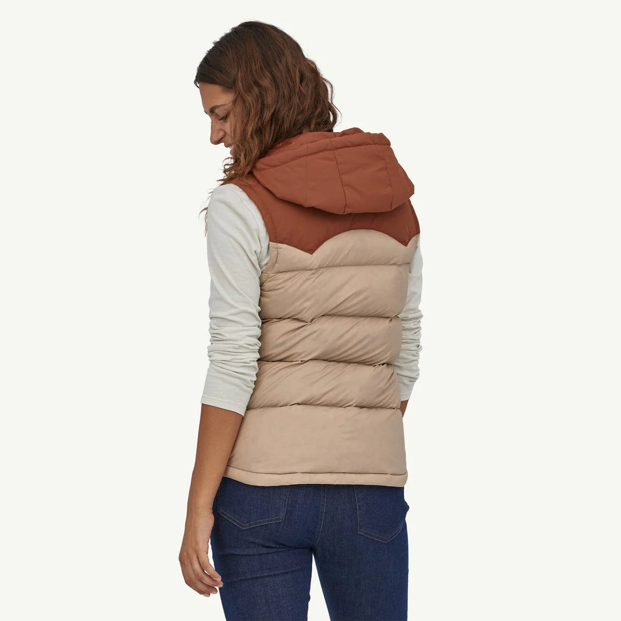 Patagonia Women's Bivy Hooded Vest