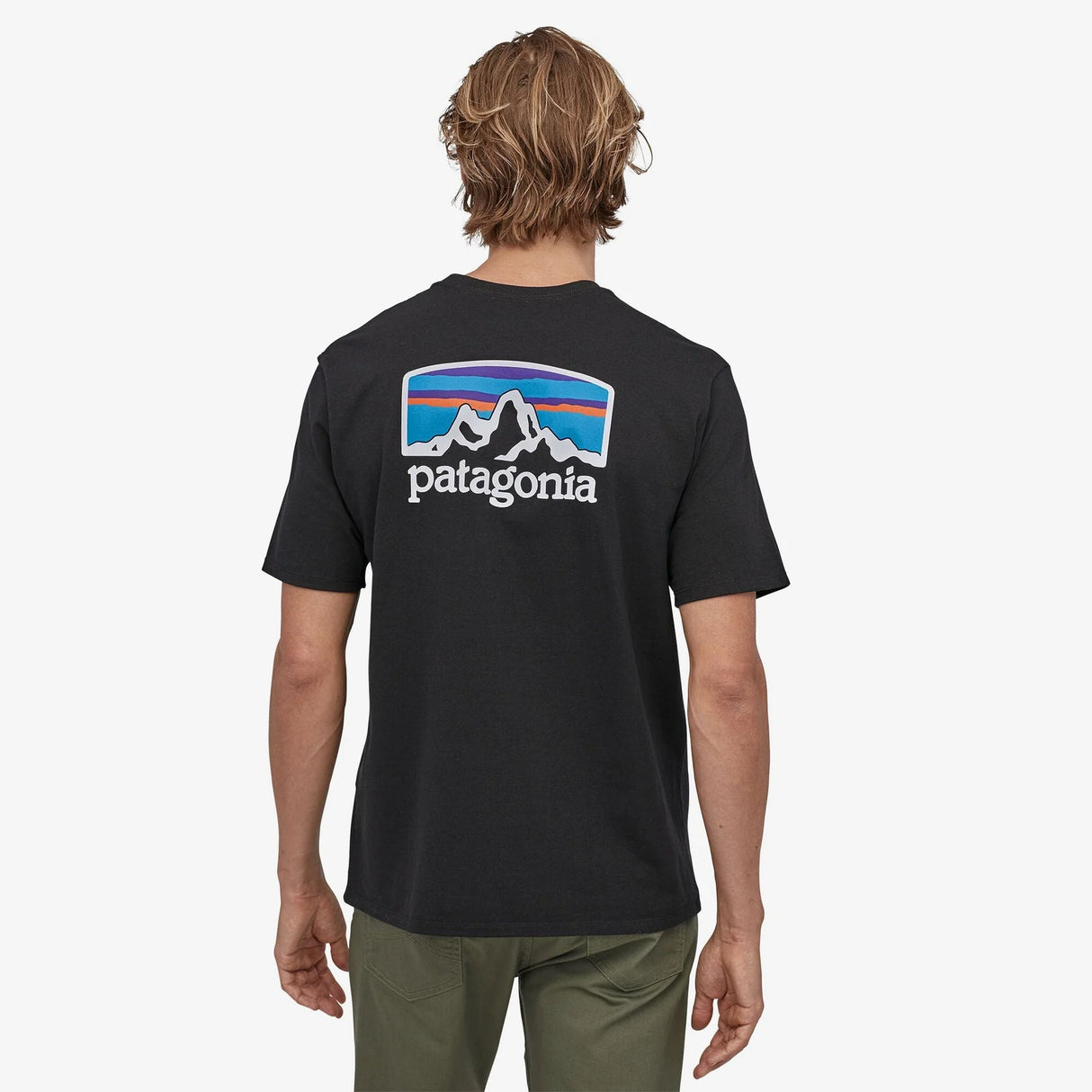 Patagonia Men's Fitz Roy Horizons Responsibili-Tee