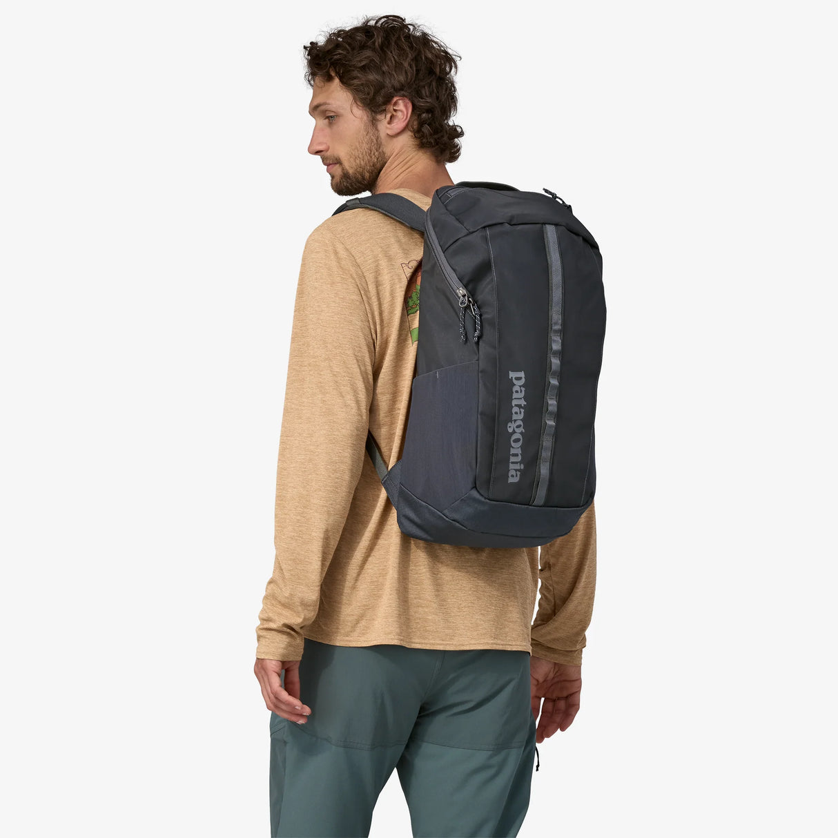 Patagonia backpack black hole 25l 2025
