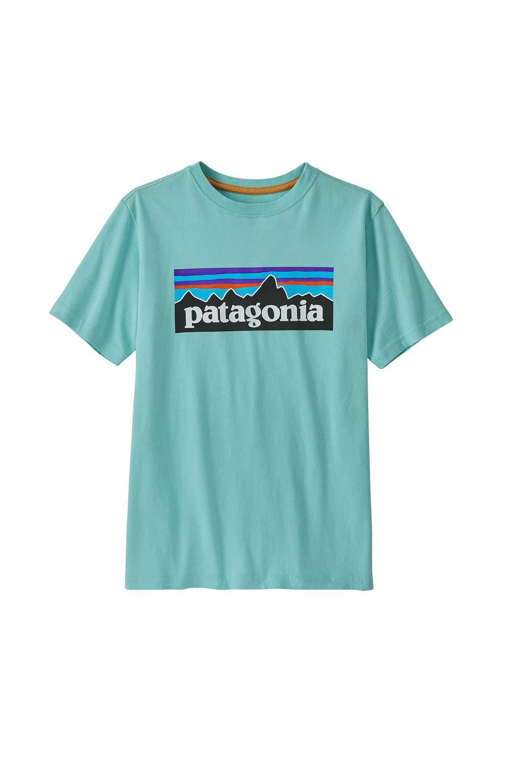 Patagonia Kids Regenerative Organic Certified Cotton P-6 Logo T-Shirt