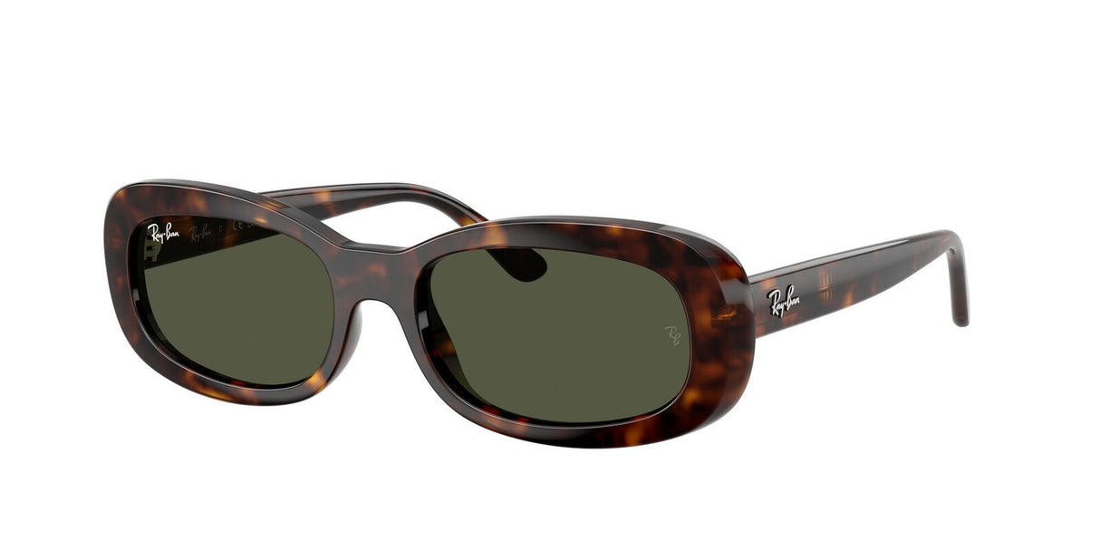 Ray-Ban RB2221 Sunglasses