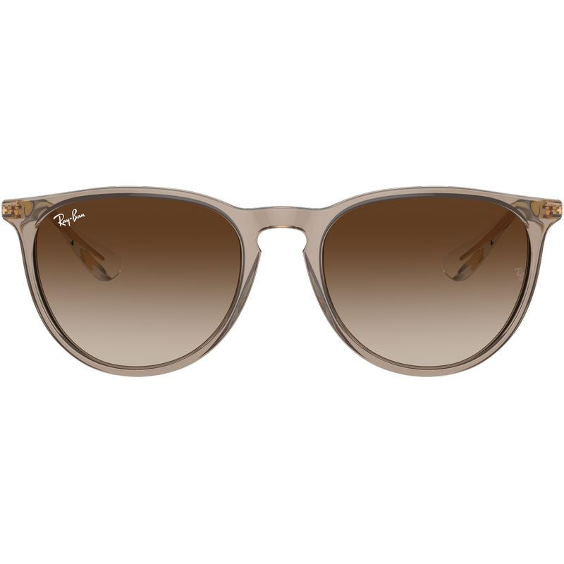 Ray Ban Erika Classic Sunglasses