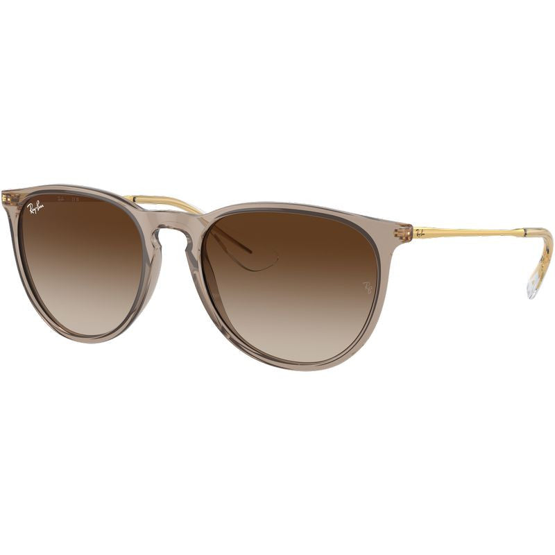 Ray Ban Erika Classic Sunglasses