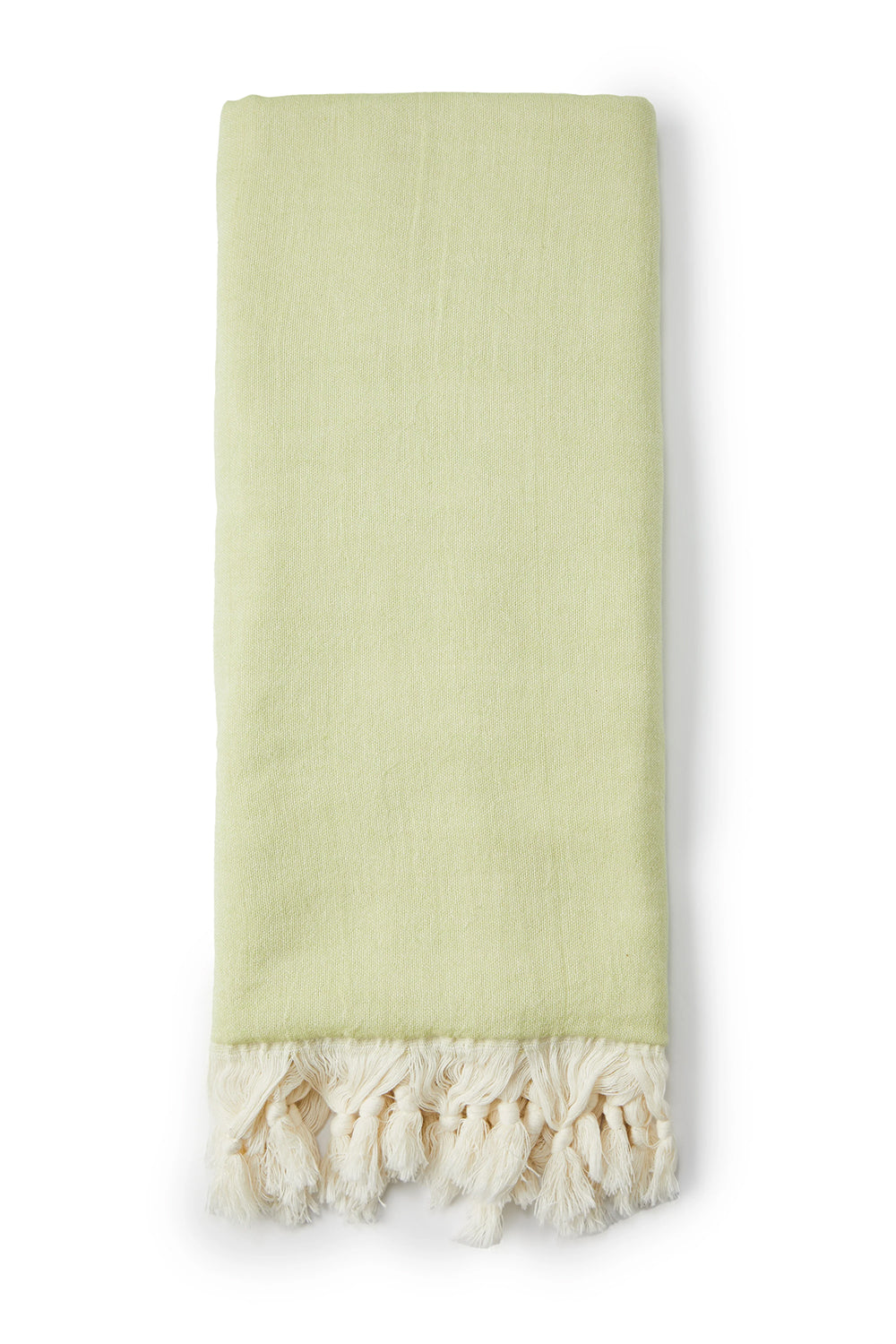 Salty Shadows Turkish Towel Palm Tree