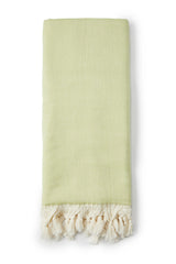 Salty Shadows Turkish Towel Palm Tree