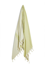 Salty Shadows Turkish Towel Palm Tree