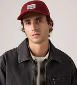 Levi's Mens Relaxed Dad Cap