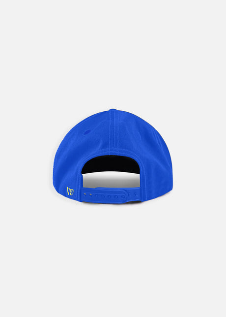 Rivvia Projects cap
