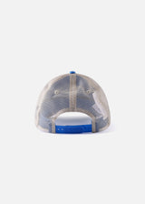 Rivvia Testimony Cap