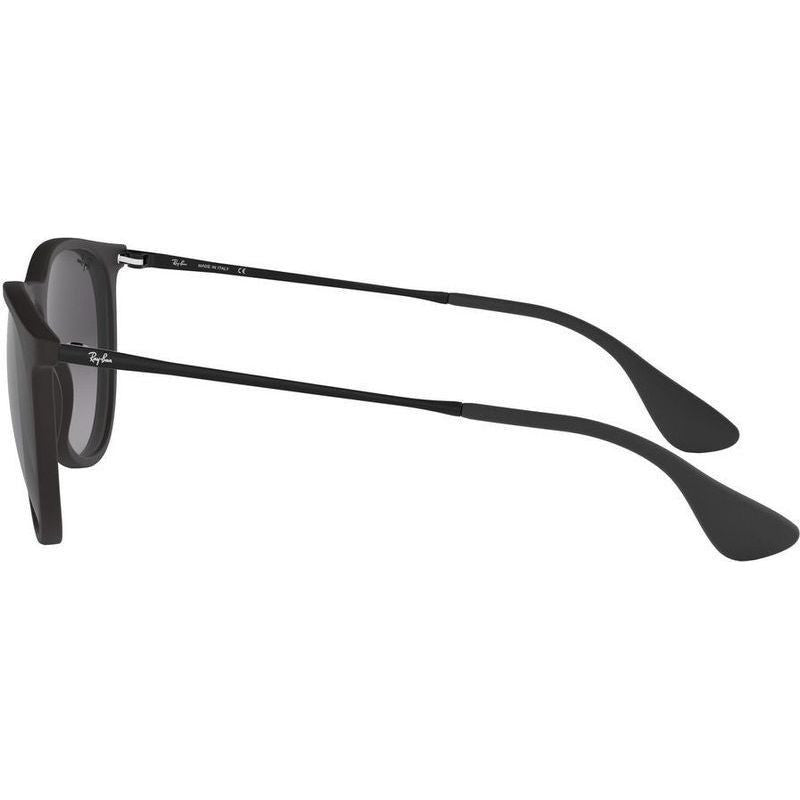 Ray Ban Erika Classic Sunglasses