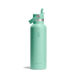 Hydro Flask 21oz (621ml) Standard Mouth Bottle with Flex Straw Cap