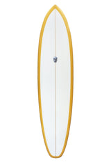 Chris Christenson Twin Tracker Surfboard